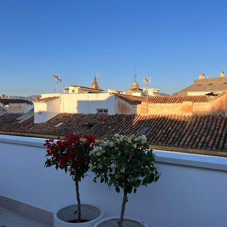 Atarazanas Suite, Atico Con Terraza Málaga Exteriör bild